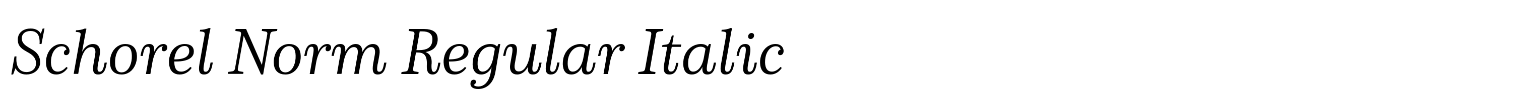 Schorel Norm Regular Italic