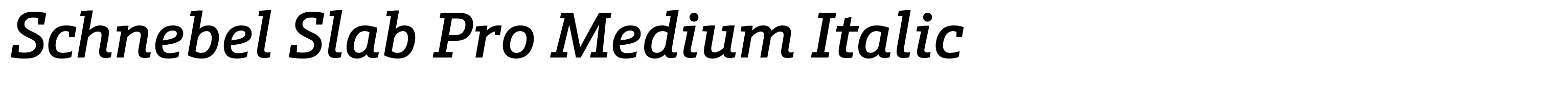 Schnebel Slab Pro Medium Italic