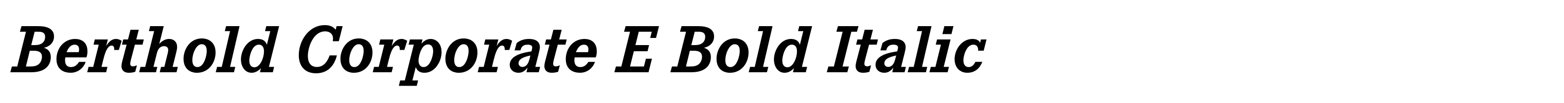 Berthold Corporate E Bold Italic