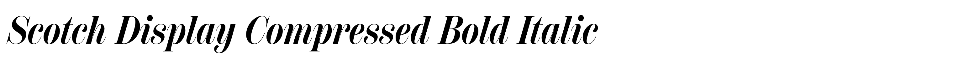 Scotch Display Compressed Bold Italic