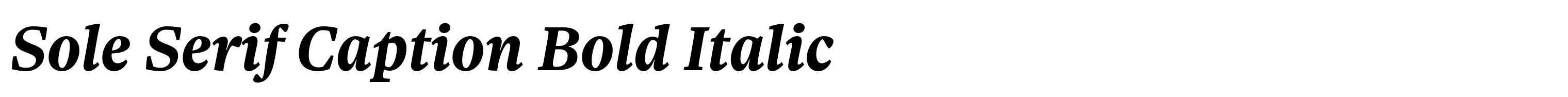 Sole Serif Caption Bold Italic