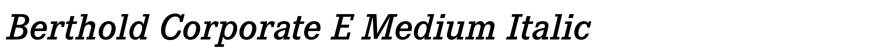 Berthold Corporate E Medium Italic