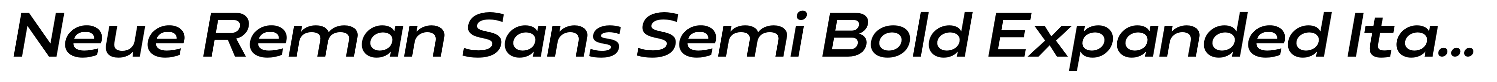 Neue Reman Sans Semi Bold Expanded Italic