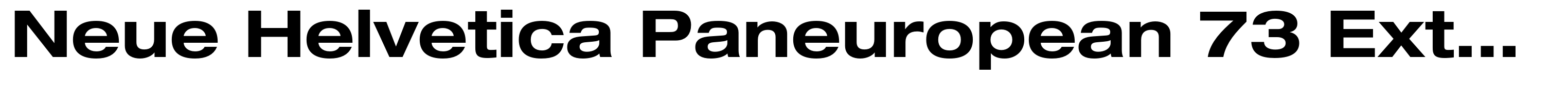 Neue Helvetica Paneuropean 73 Extended Bold