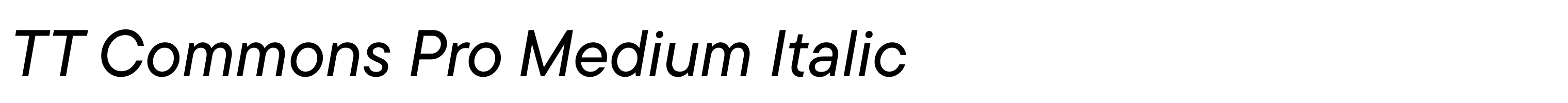 TT Commons Pro Medium Italic