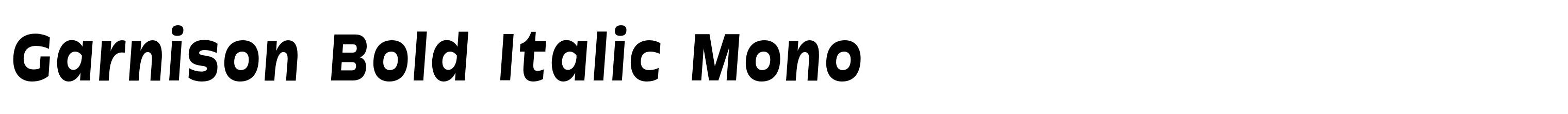 Garnison Bold Italic Mono