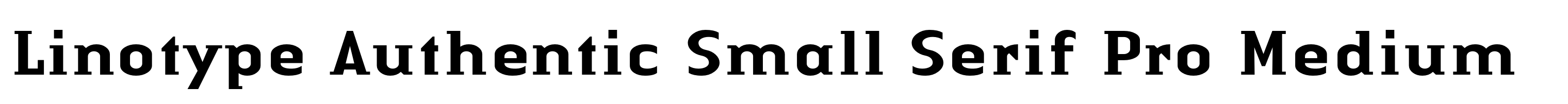 Linotype Authentic Small Serif Pro Medium