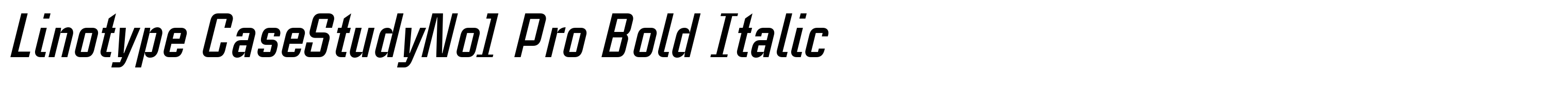 Linotype CaseStudyNo1 Pro Bold Italic
