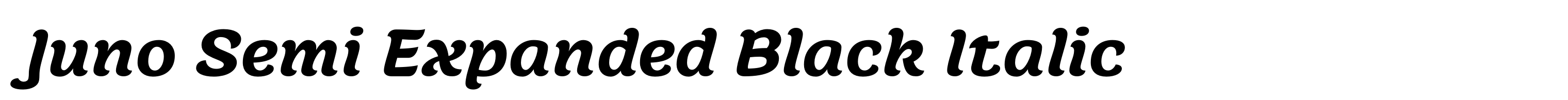 Juno Semi Expanded Black Italic