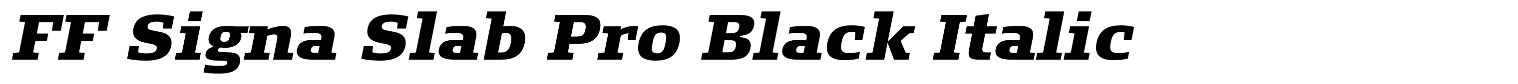 FF Signa Slab Pro Black Italic
