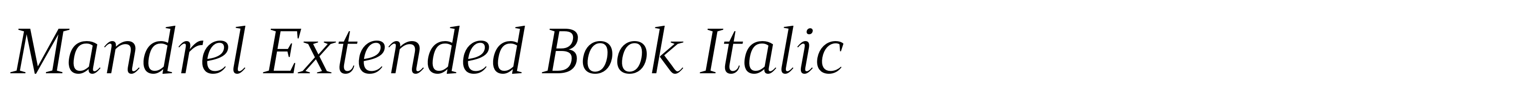 Mandrel Extended Book Italic