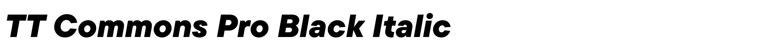 TT Commons Pro Black Italic