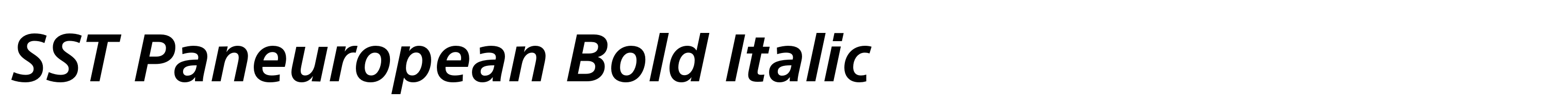 SST Paneuropean Bold Italic