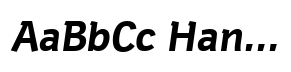 Hermes DTC Bold Italic