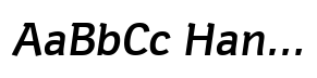 Hermes DTC Medium Italic