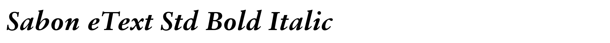 Sabon eText Std Bold Italic image