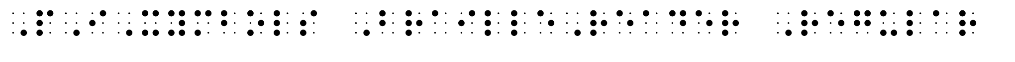 PIXymbols BrailleReader Regular image