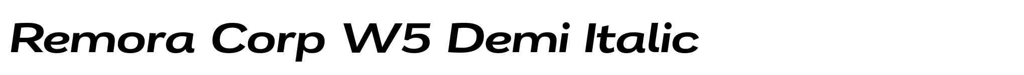 Remora Corp W5 Demi Italic image
