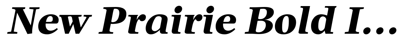 New Prairie Bold Italic