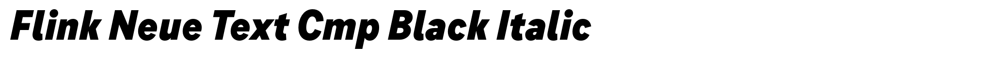 Flink Neue Text Cmp Black Italic image