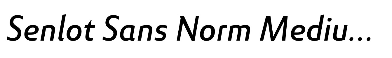 Senlot Sans Norm Medium Italic