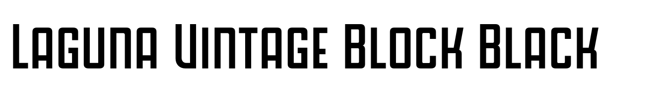 Laguna Vintage Block Black
