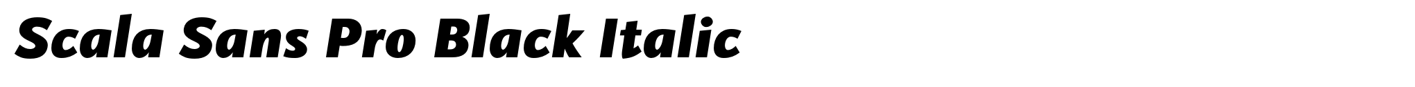 Scala Sans Pro Black Italic image