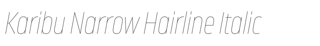 Karibu Narrow Hairline Italic