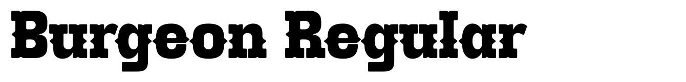 Burgeon Regular