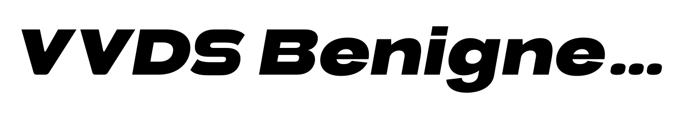 VVDS Benigne Sans Bold Italic