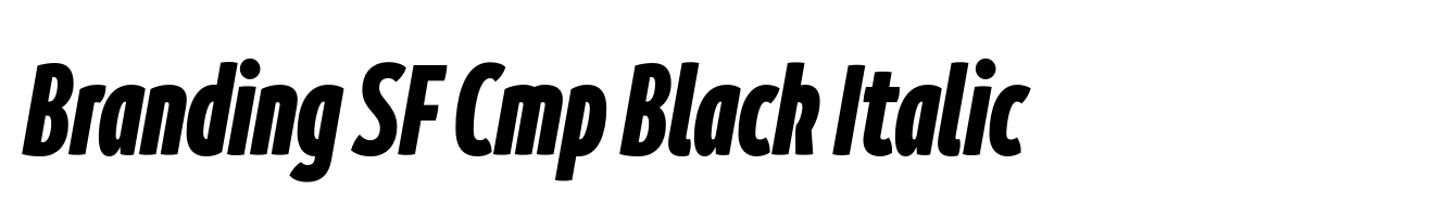 Branding SF Cmp Black Italic