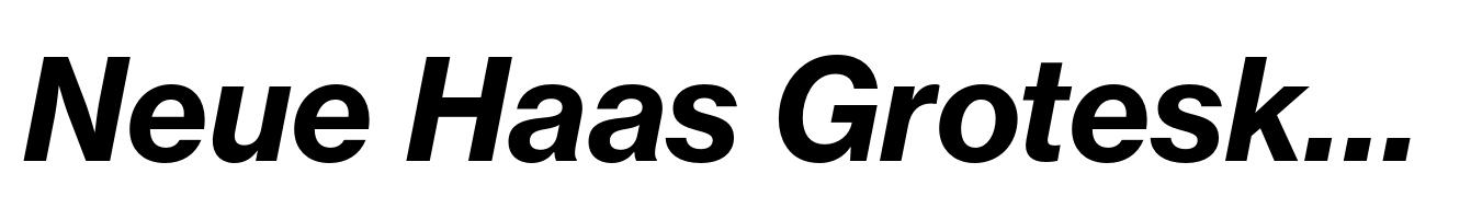 Neue Haas Grotesk Text Pro 76 Bold Italic