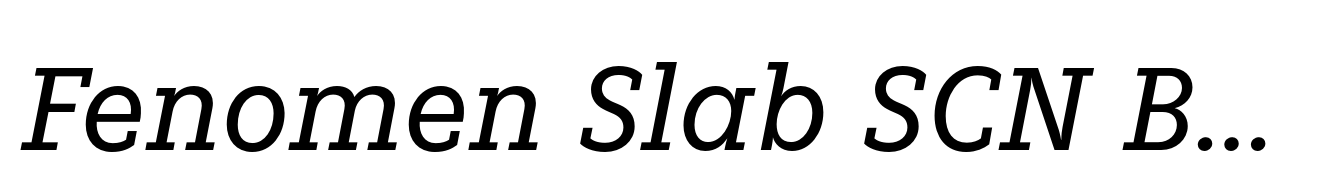Fenomen Slab SCN Book Italic