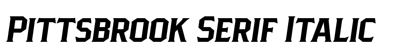 Pittsbrook Serif Italic