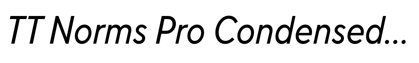 TT Norms Pro Condensed Normal Italic