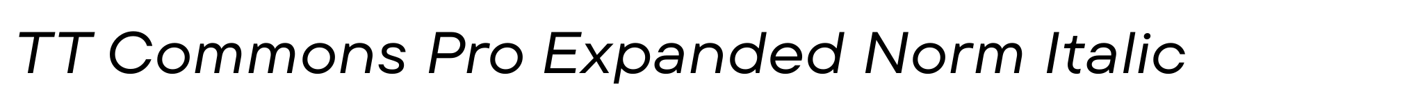 TT Commons Pro Expanded Norm Italic image
