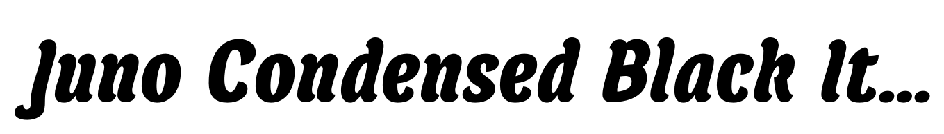 Juno Condensed Black Italic