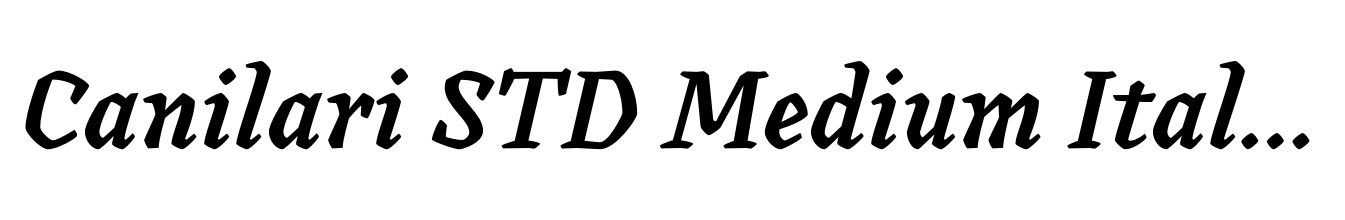 Canilari STD Medium Italic