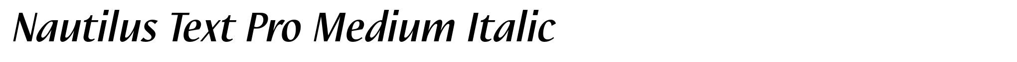 Nautilus Text Pro Medium Italic image