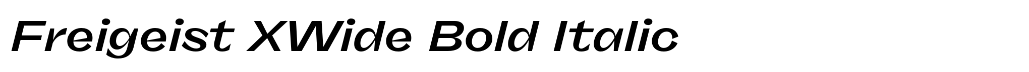 Freigeist XWide Bold Italic image