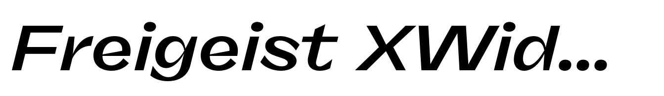 Freigeist XWide Bold Italic