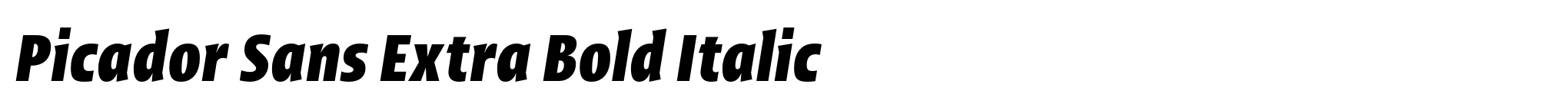 Picador Sans Extra Bold Italic image