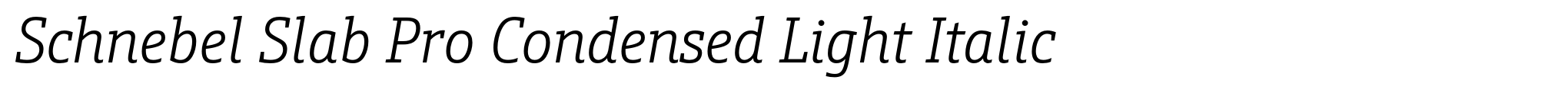 Schnebel Slab Pro Condensed Light Italic image