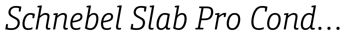 Schnebel Slab Pro Condensed Light Italic