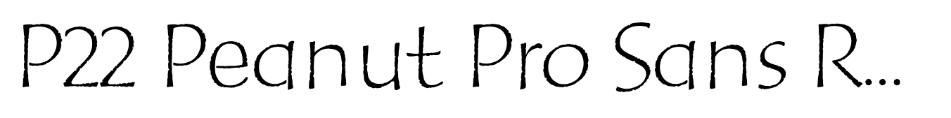 P22 Peanut Pro Sans Regular
