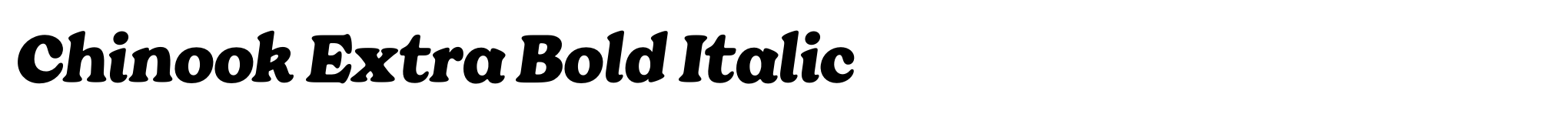 Chinook Extra Bold Italic image
