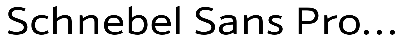 Schnebel Sans Pro Extended Regular