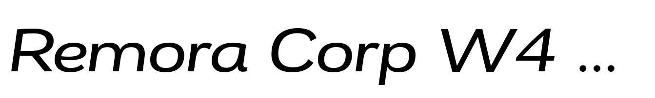 Remora Corp W4 Medium Italic
