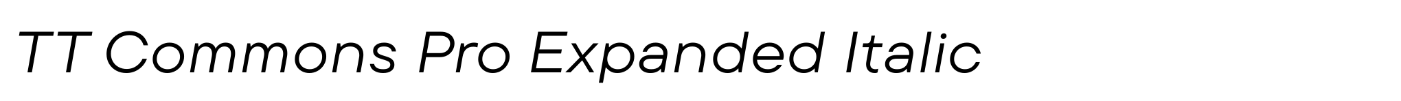 TT Commons Pro Expanded Italic image