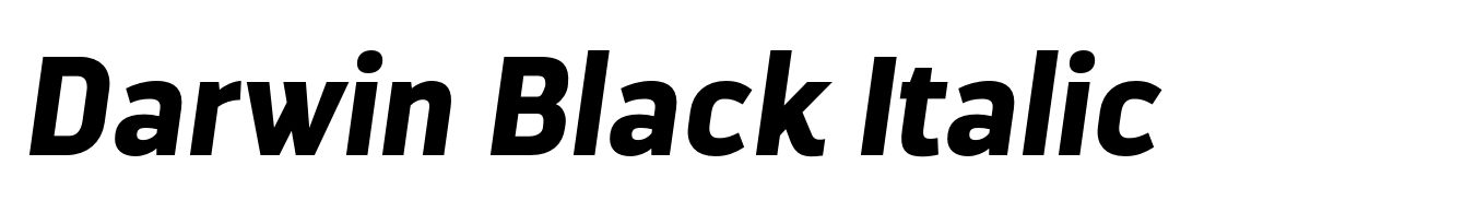 Darwin Black Italic
